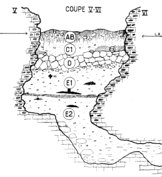 Location of the fossil hominins